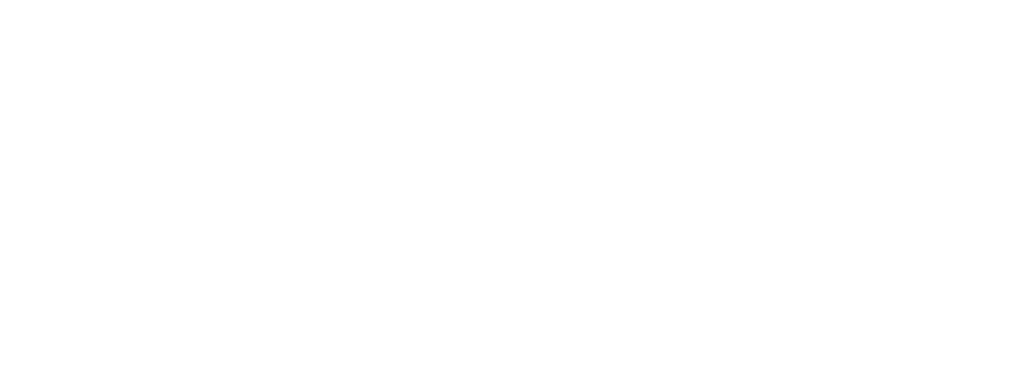 logo necton